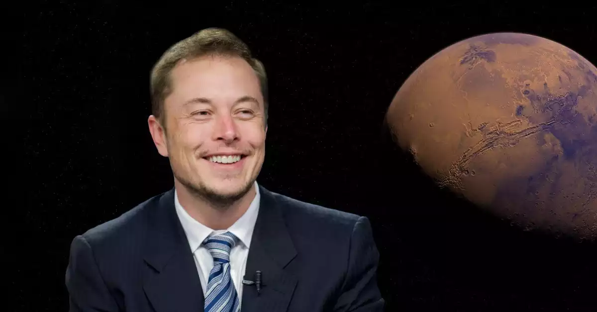 Elon Musk GPA